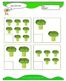 Kaç Tane Var Çalışma Sayfaları